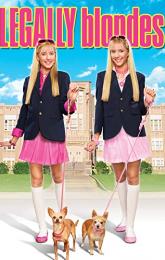Legally Blondes poster