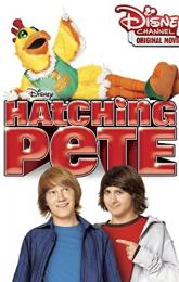 Hatching Pete poster