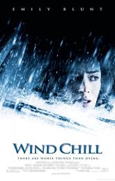 Wind Chill poster