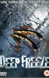 Deep Freeze poster