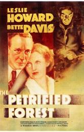 The Petrified Forest poster