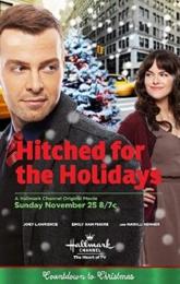 Hitched for the Holidays poster