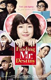 Finding Mr. Destiny poster