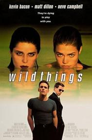 Wild Things poster