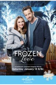 Frozen in Love poster