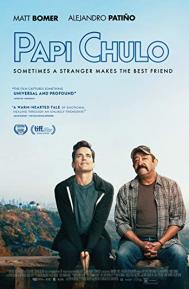 Papi Chulo poster