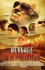 Revenge Is a Promise poster