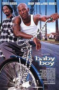 Baby Boy poster