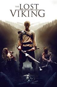 The Lost Viking poster