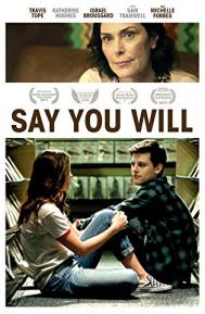 Say You Will poster