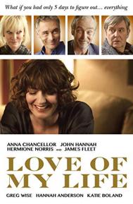 Love of My Life poster