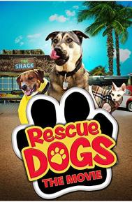 Rescue Dogs poster