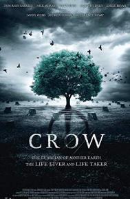 Crow poster