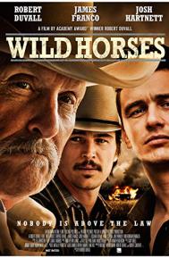 Wild Horses poster