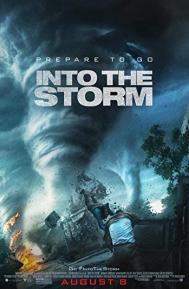 Into the Storm poster