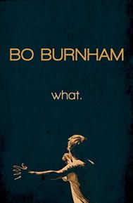 Bo Burnham: what. poster