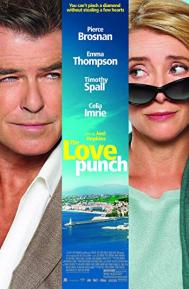 The Love Punch poster