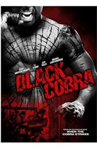 Black Cobra poster