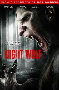 Night Wolf poster