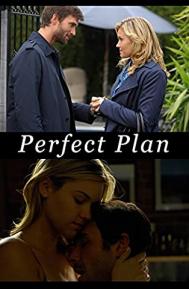Perfect Plan poster