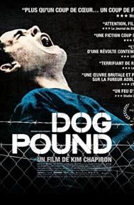 Dog Pound poster