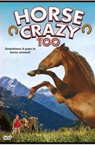 Horse Crazy 2: The Legend of Grizzly Mountain poster