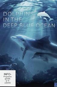 Dolphins in the Deep Blue Ocean poster