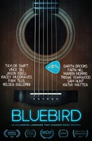 Bluebird poster
