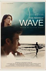 The Perfect Wave poster