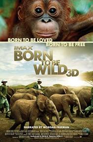 Born to Be Wild poster