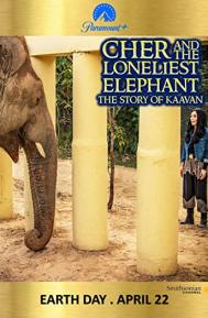 Cher and the Loneliest Elephant poster