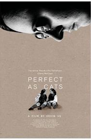 Perfect as Cats poster