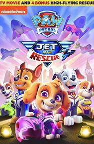Paw Patrol: Jet to the Rescue poster