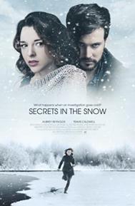 Secrets in the Snow poster