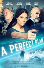 A Perfect Plan poster