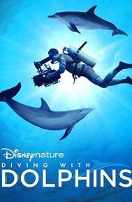 Diving with Dolphins poster