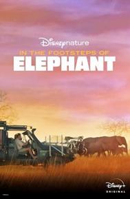 In the Footsteps of Elephant poster