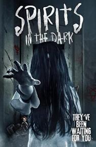 Spirits in the Dark poster