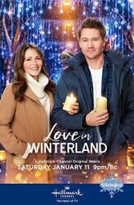 Love in Winterland poster