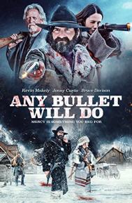 Any Bullet Will Do poster