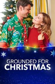 Grounded for Christmas poster