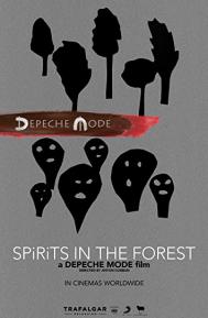 Spirits in the Forest poster