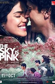 The Sky Is Pink poster
