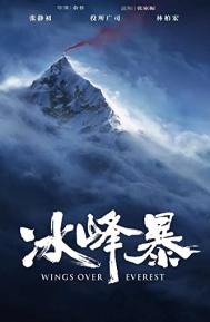 Wings Over Everest poster
