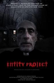 Entity Project poster