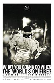 What You Gonna Do When the World's on Fire? poster