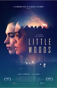 Little Woods poster
