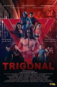 The Trigonal: Fight for Justice poster
