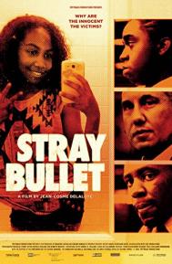 Stray Bullet poster