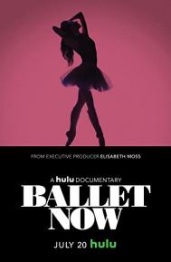 Ballet Now poster